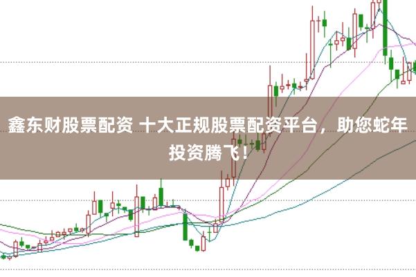鑫东财股票配资 十大正规股票配资平台，助您蛇年投资腾飞！