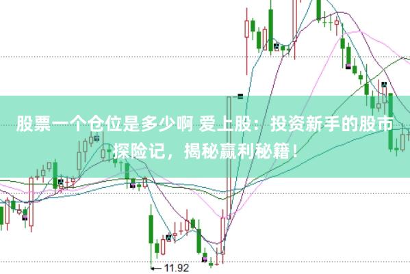 股票一个仓位是多少啊 爱上股：投资新手的股市探险记，揭秘赢利秘籍！