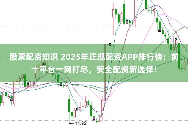股票配资知识 2025年正规配资APP排行榜：前十平台一网打尽，安全配资新选择！