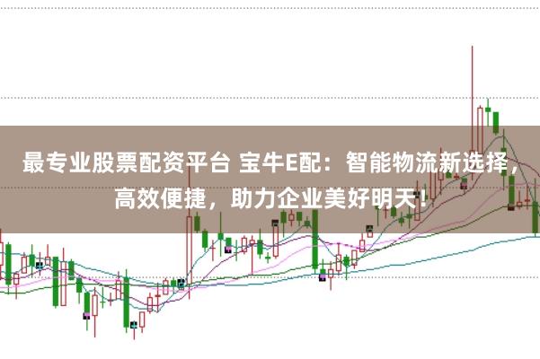 最专业股票配资平台 宝牛E配：智能物流新选择，高效便捷，助力企业美好明天！