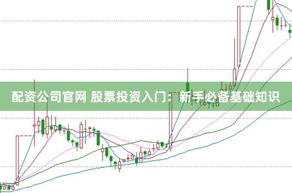 配资公司官网 股票投资入门：新手必备基础知识