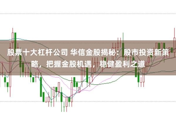 股票十大杠杆公司 华信金股揭秘：股市投资新策略，把握金股机遇，稳健盈利之道