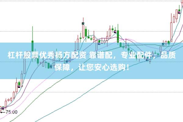 杠杆股票优秀杨方配资 靠谱配，专业配件，品质保障，让您安心选购！
