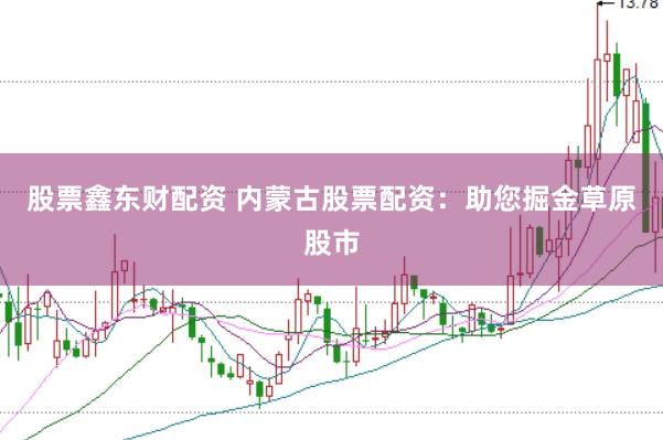 股票鑫东财配资 内蒙古股票配资：助您掘金草原股市
