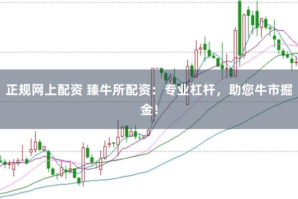 正规网上配资 臻牛所配资：专业杠杆，助您牛市掘金！
